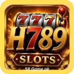 H789 Game