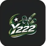 Y222 Game
